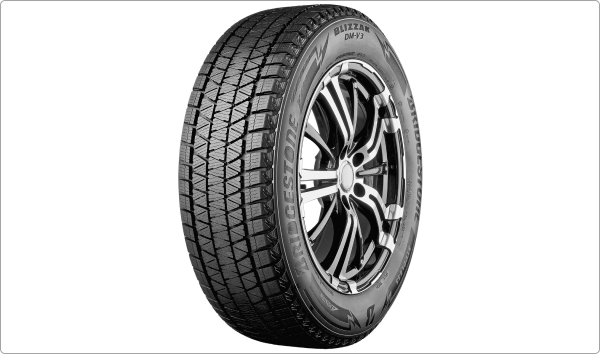 Bridgestone Blizzak DM-V3